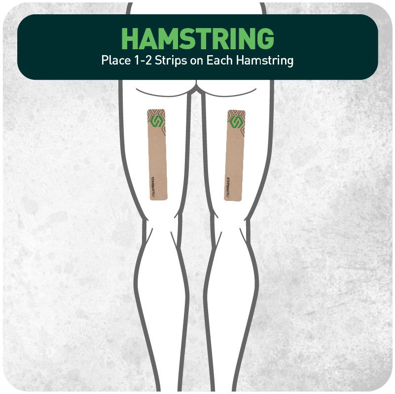 STAMINAPRO Hamstring